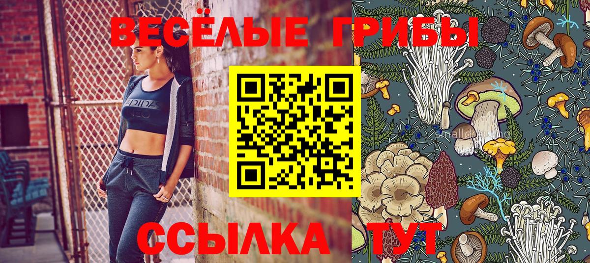 Псилоцибиновые грибы Psilocybe Комсомольск-на-Амуре